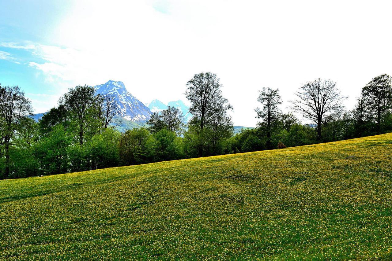 Kraljska Koliba - Kralje'S Cottage Andrijevica Esterno foto