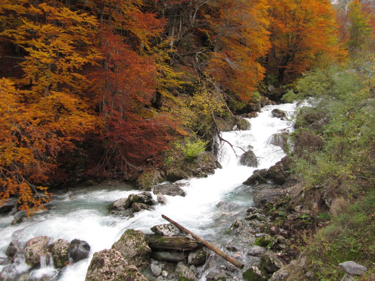 Kraljska Koliba - Kralje'S Cottage Andrijevica Esterno foto