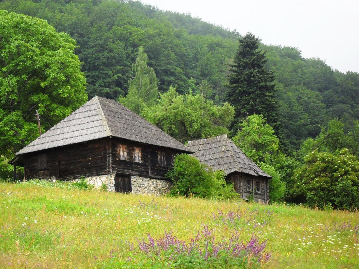 Kraljska Koliba - Kralje'S Cottage Andrijevica Esterno foto