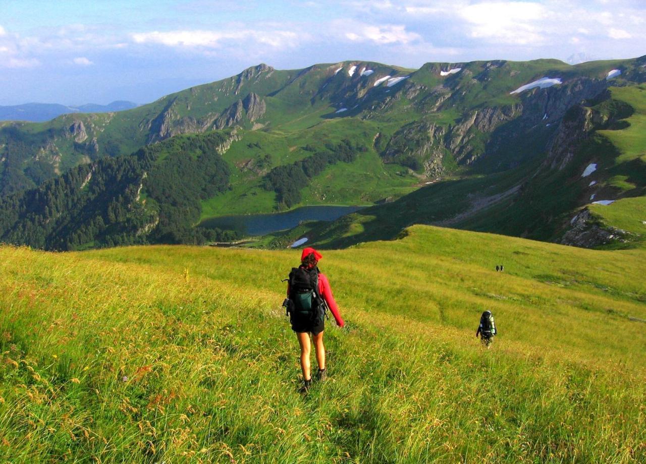 Kraljska Koliba - Kralje'S Cottage Andrijevica Esterno foto