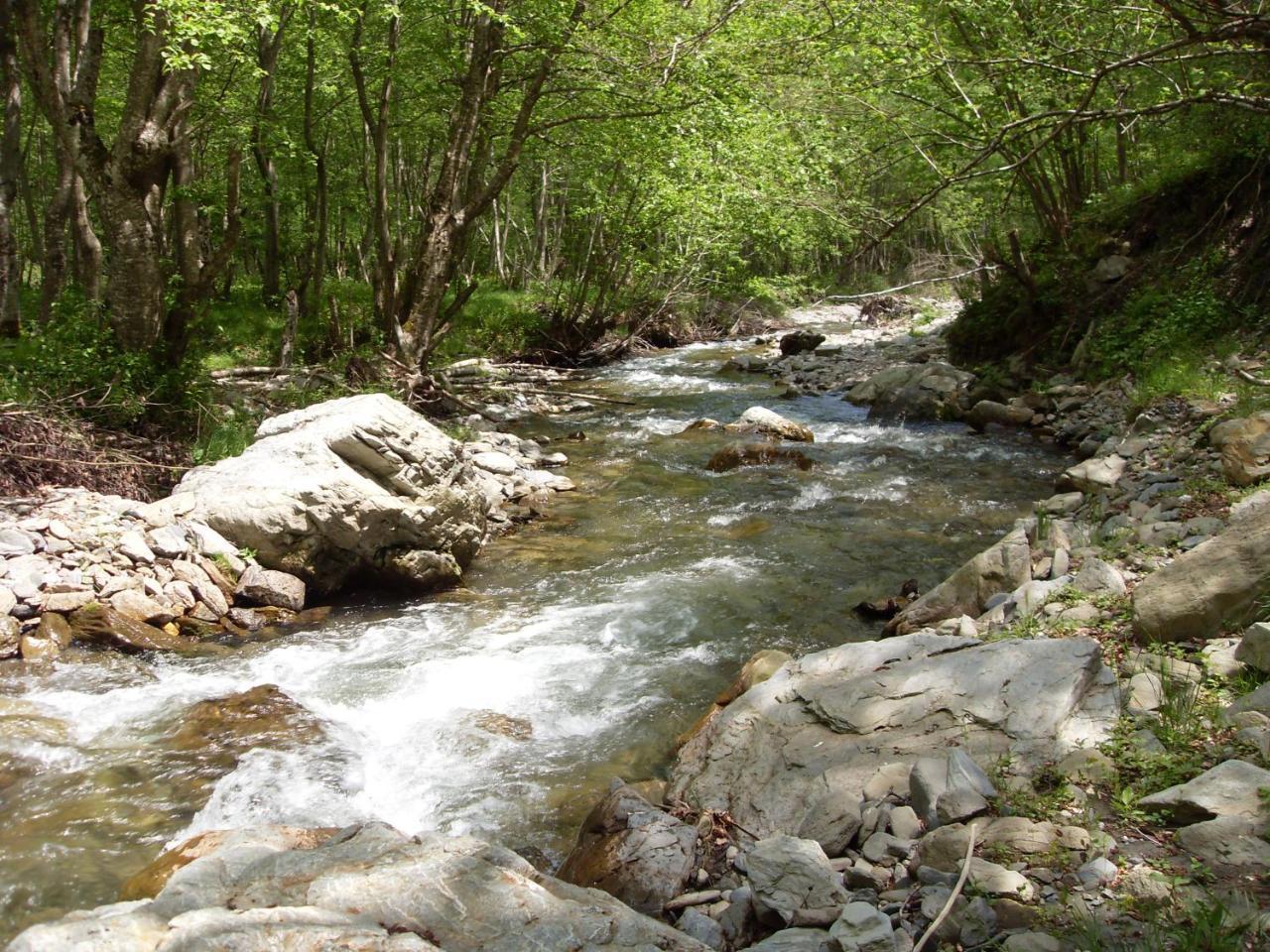 Kraljska Koliba - Kralje'S Cottage Andrijevica Esterno foto